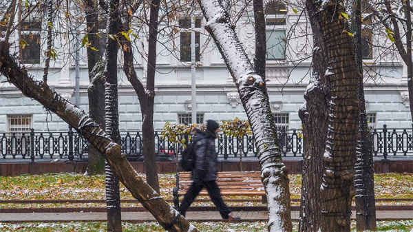 Синоптики пообещали москвичам отсутствие осадков во вторник
