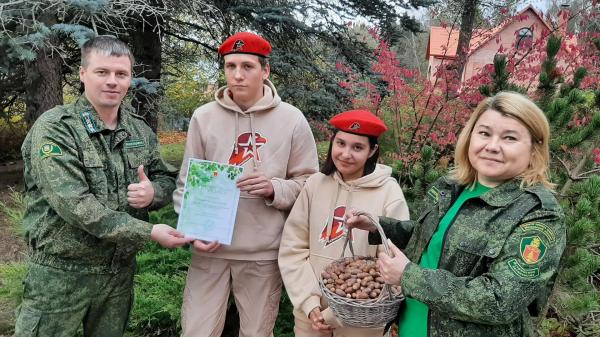 Более 1,7 тысячи килограммов семян деревьев собрали в Подмосковье