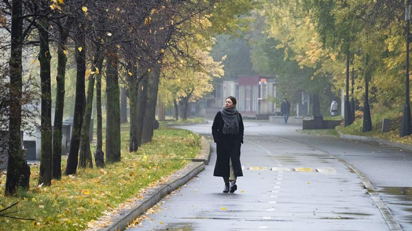 Синоптики спрогнозировали небольшие осадки и до +4 в Москве 24 октября
