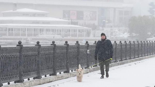 Синоптики предупредили о метели и гололедице в Москве 23 ноября
