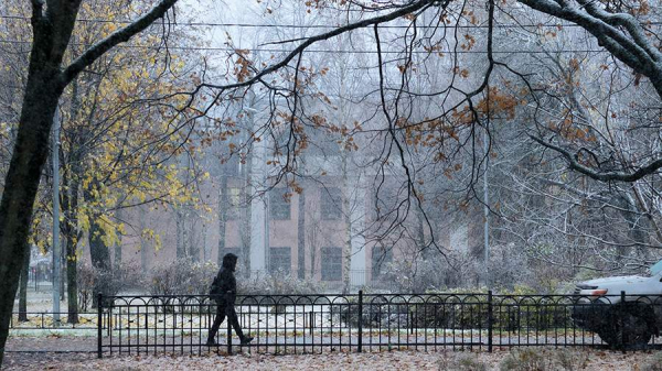 Синоптики рассказали о погоде в Москве 22 ноября
