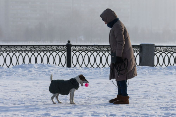 Вильфанд предупредил о январских морозах в московском регионе на этой неделе