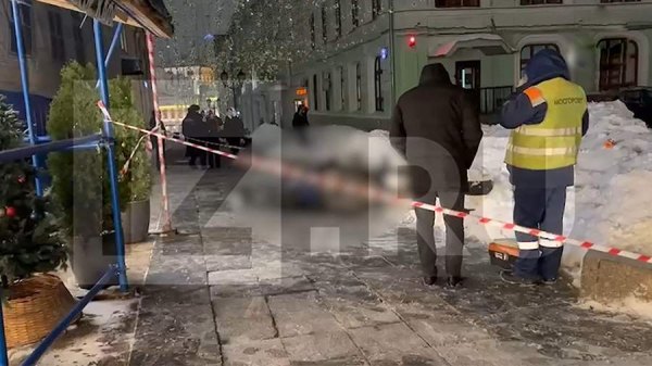 Лошадь погибла от удара током в центре Москвы
