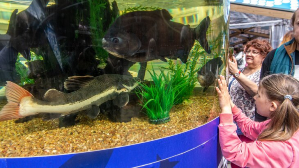Московский зоопарк запускает работу клуба юных аквариумистов