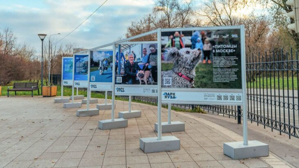 Посвященная проекту "Питомцы в Москве" фотовыставка открылась в парке "Яуза"