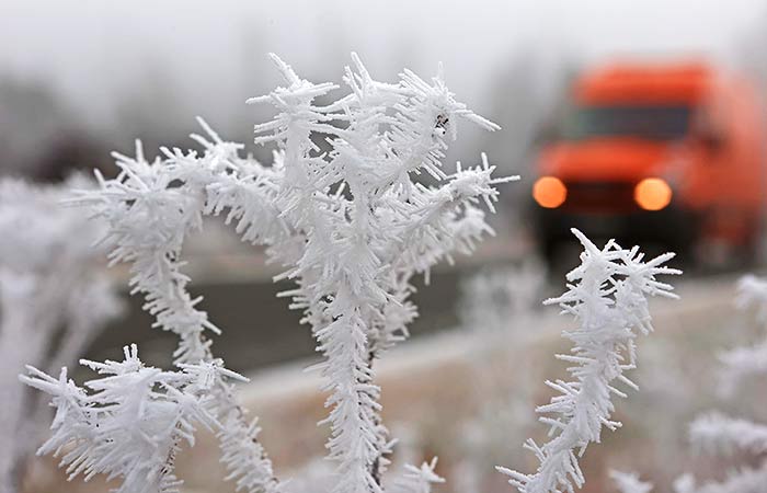 Синоптики спрогнозировали аномальные холода в Москве с 1 по 5 января