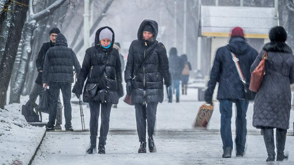 Синоптики спрогнозировали мокрый снег с дождем в Москве 30 декабря

