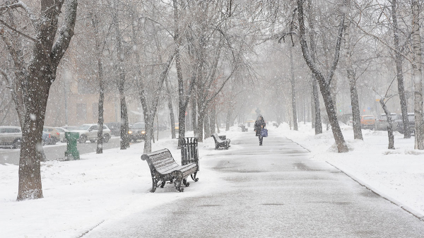 «Оранжевый» уровень погодной опасности объявили в Москве до вечера 9 декабря
