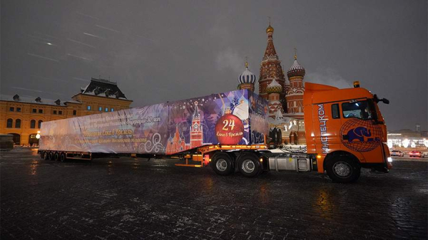 Главную елку России доставили в Кремль
