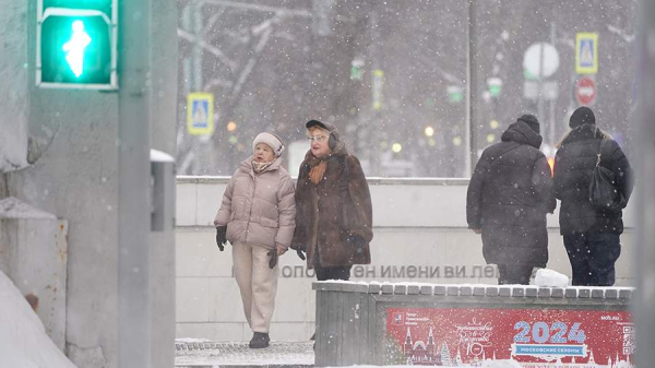 Синоптик предупредил об интенсивном снегопаде в Москве в ночь на 15 декабря
