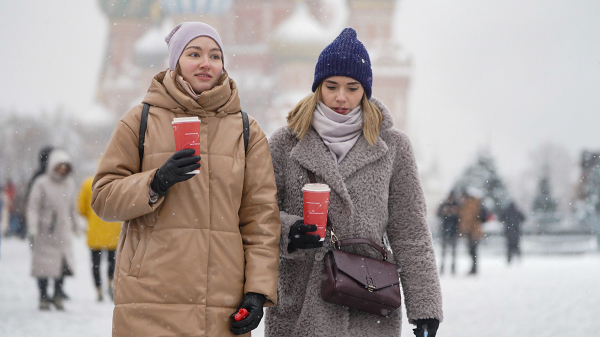 Москвичей предупредили о переменной облачности и небольшом снеге 22 декабря