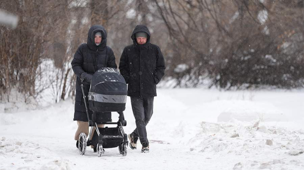 Синоптики спрогнозировали москвичам небольшой снег и до –2 градусов 27 декабря
