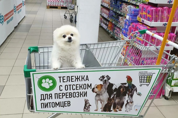 Куда в Москве можно сходить вместе с собакой