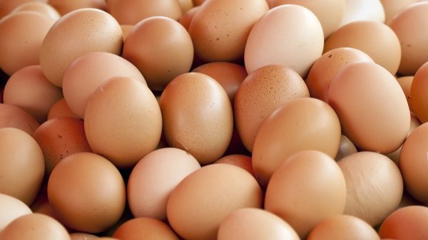 Цены на яйца в России с 16 по 22 января снизились на 1,4 процента