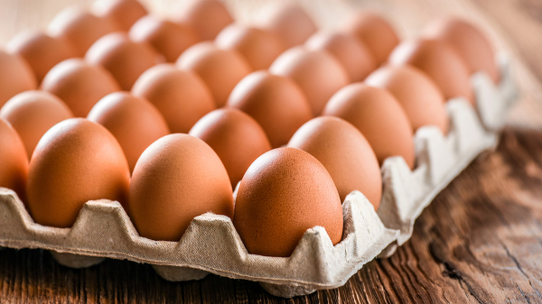 Росстат: Куриные яйца в России продолжают дешеветь