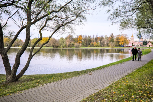 В 2023 году в Москве провели реконструкцию 35 прудов