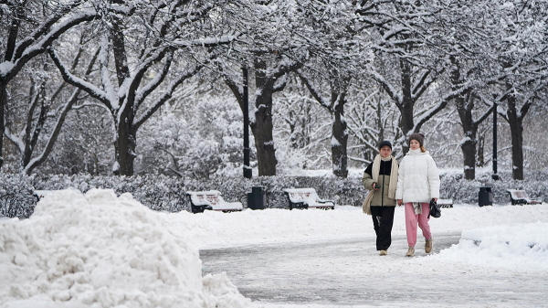Городские службы перевели в режим повышенной готовности из-за снегопада в Москве