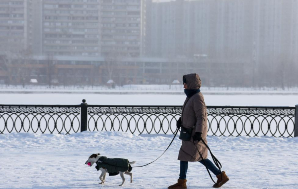 Гидрометцентр прогнозирует "январские морозы" в Московском регионе