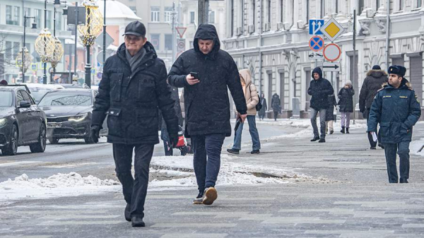 Синоптики пообещали москвичам снег и до –3 градусов 3 февраля
