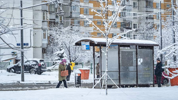 Синоптики спрогнозировали москвичам гололедицу и до –6 градусов 20 февраля
