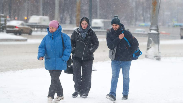 Синоптик пообещал 25-градусные морозы в Московской области к концу недели
