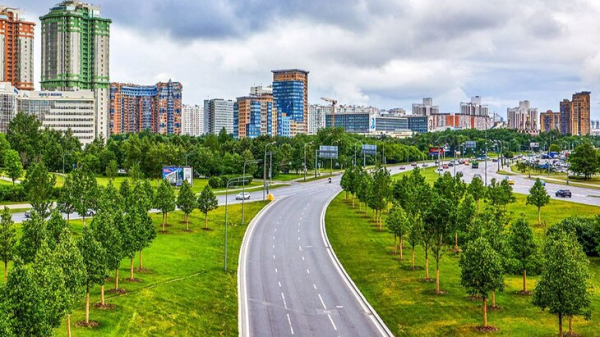 Более 4 тыс деревьев украсили магистрали Москвы в 2023 году