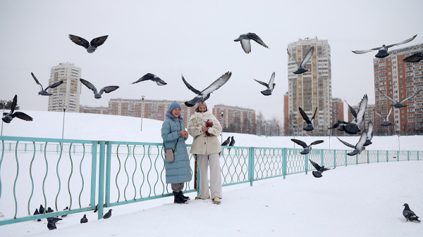 Синоптики пообещали москвичам пасмурную погоду и без осадков 20 февраля