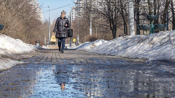 Вильфанд сообщил об уменьшении высоты снега в Москве на 14 см за неделю
