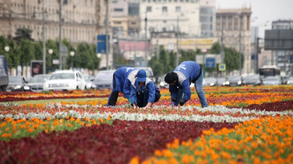 Гранитную облицовку цветников обновили на Кутузовском проспекте