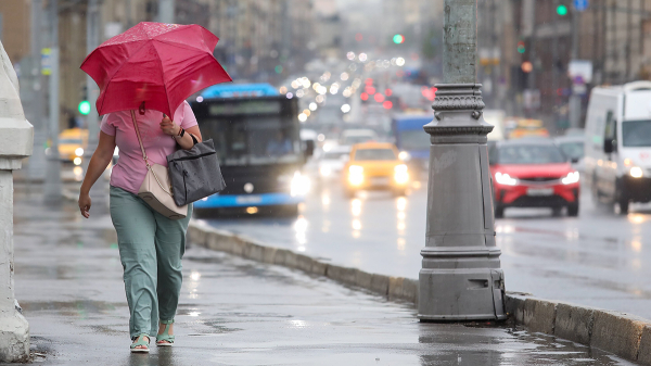 Синоптик Вильфанд сообщил о жаре и «взрывных» дождях в конце недели в Москве